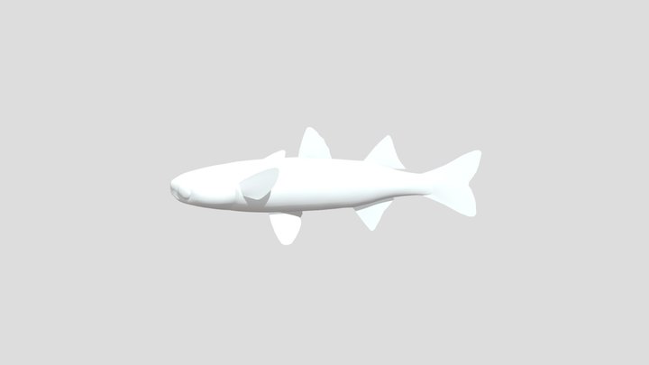 Modelo 3D de un pez depredador 3D Model