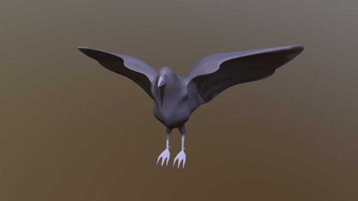 Hawaiian Crow  ʻalalā 3D Model