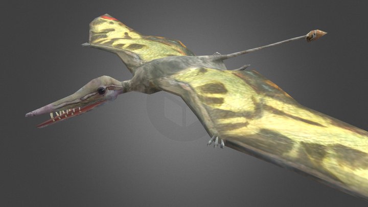 Dinosaur Hunting Rhamphorhynchus – Free 3D Model STL