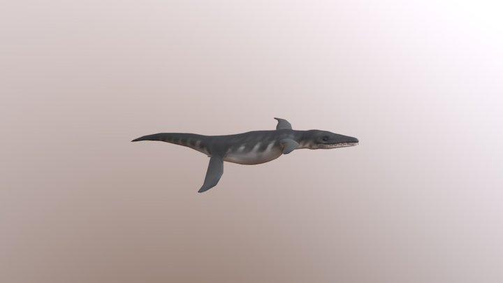 Liopleurodon 3D Model