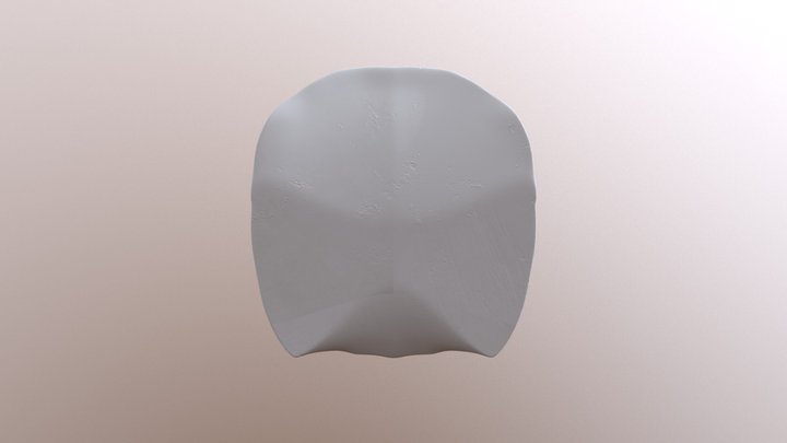 G_Face 3D Model