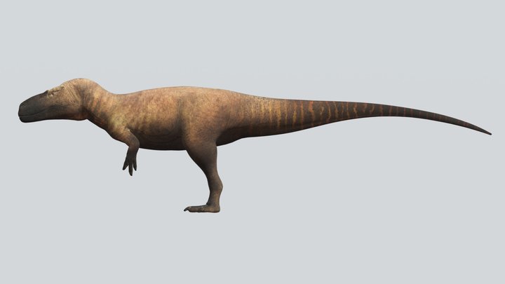Accurate Torvosaurus gurneyi – Free 3D Model STL