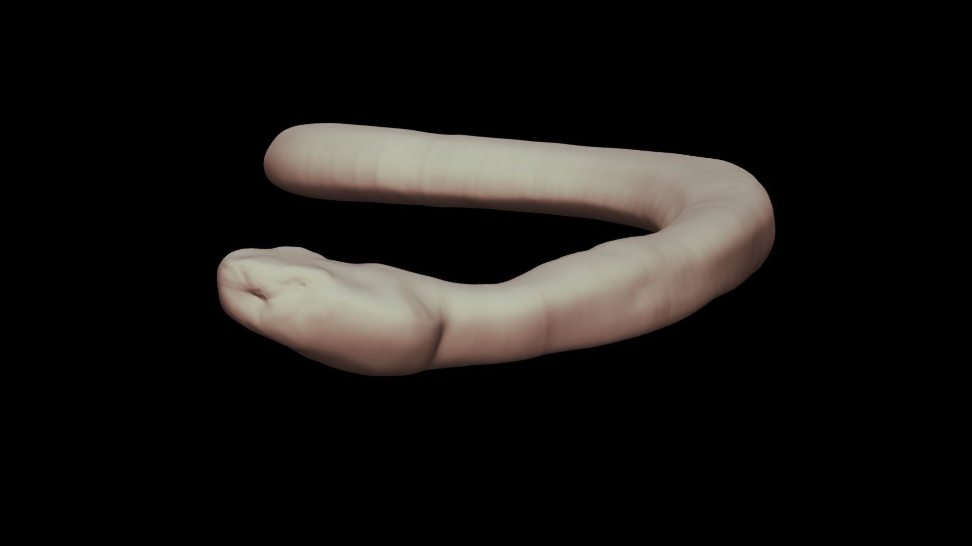Model 31B - 3D mesh Timber Rattlesnake