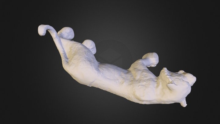 mesh-25 3D Model