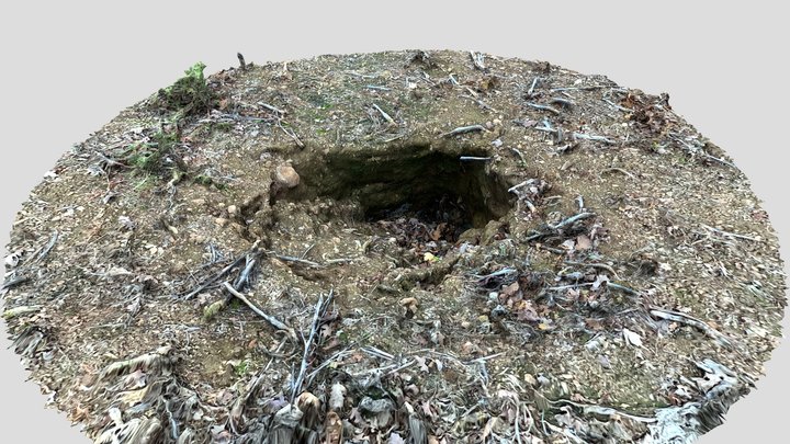 Abandonned Badger lair 3D Model