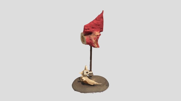 Os Rouge 3D Model
