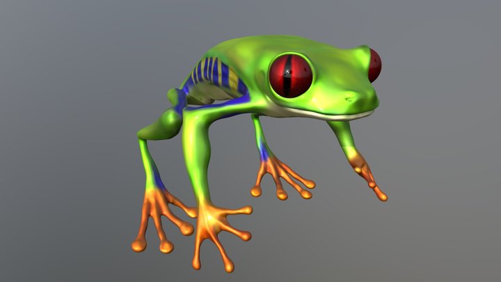 Tree Frog 3D Model