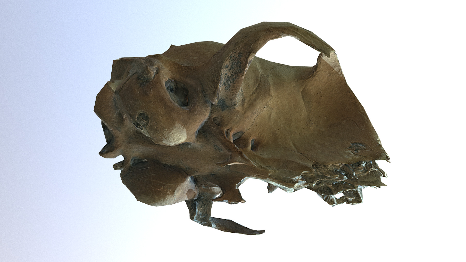 3D model Skull nr 2 - This is a 3D model of the Skull nr 2. The 3D model is about a close-up of a frog.