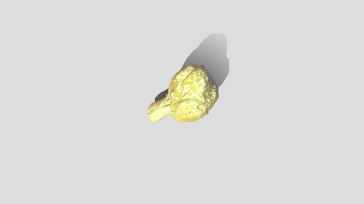 Yellow Bird_grammetry. 3D Model