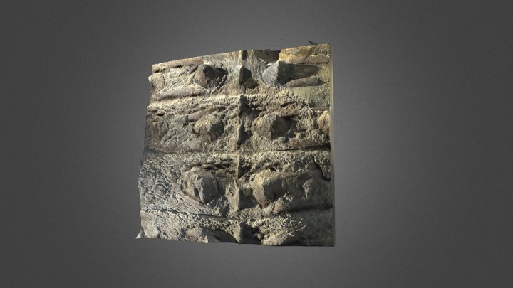 Ankylosaurus Back 3D Model