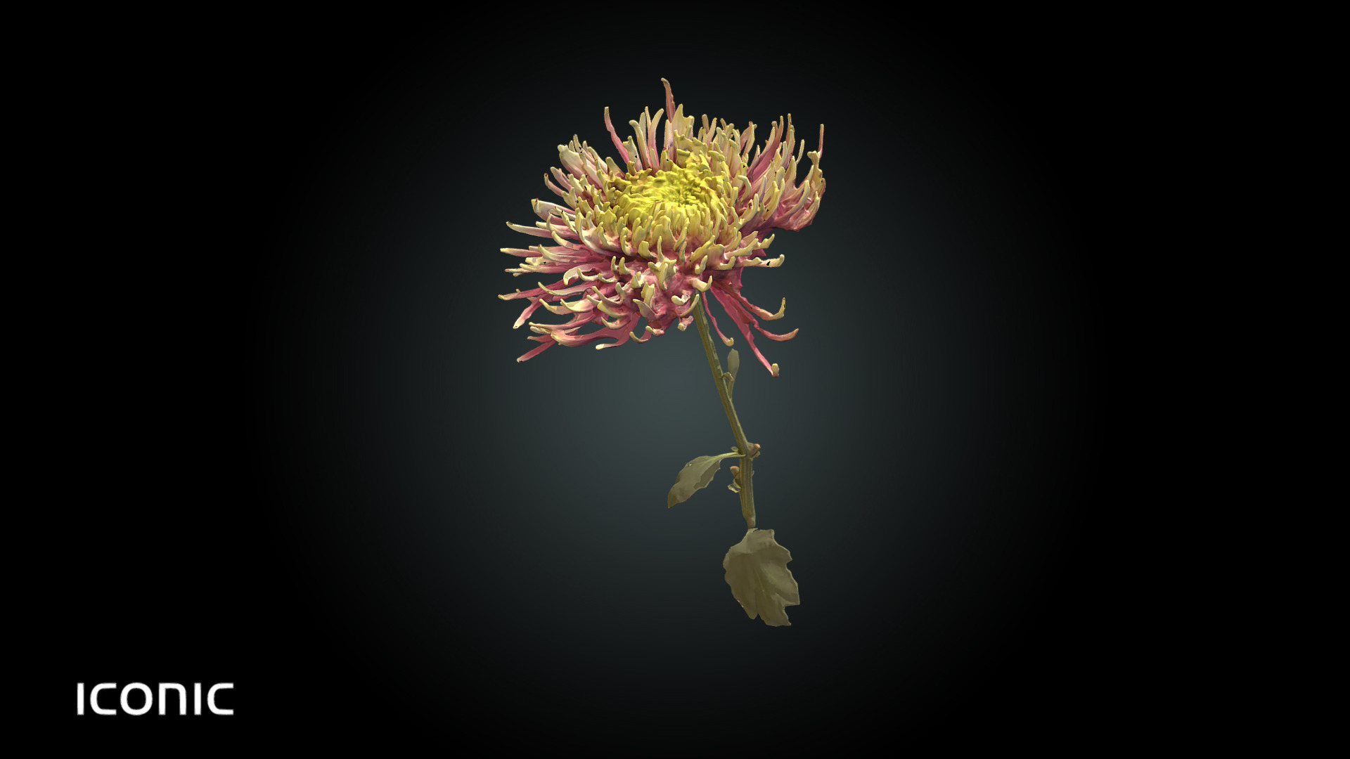 3D model Fw4 – Coxcomb Flower - This is a 3D model of the Fw4 - Coxcomb Flower. The 3D model is about a red and yellow flower.