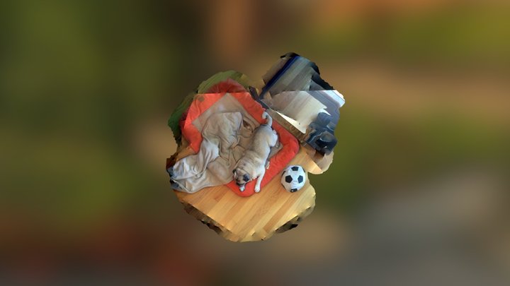 Pug life 3D Model