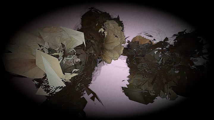 Another World 3D Model