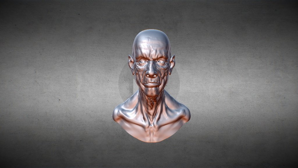 Old man sculpt