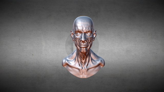 Old man sculpt 3D Model