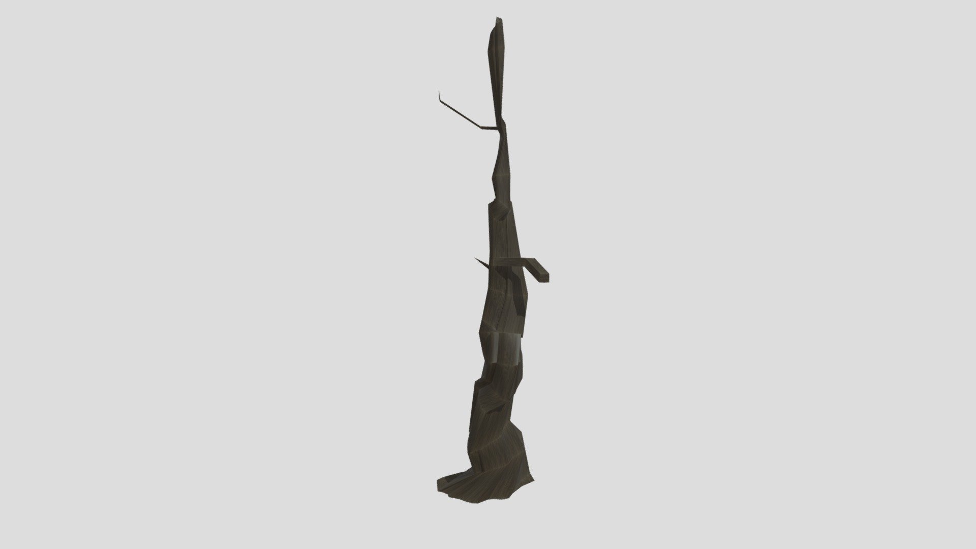 old  Curved Tree