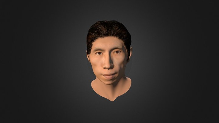 Whyang Stu Head&hair 3D Model