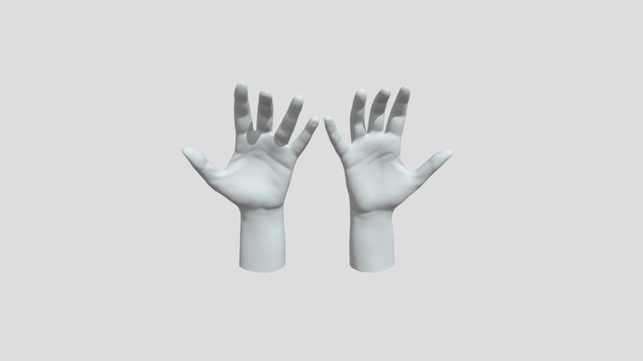 Female Hands 3D Model