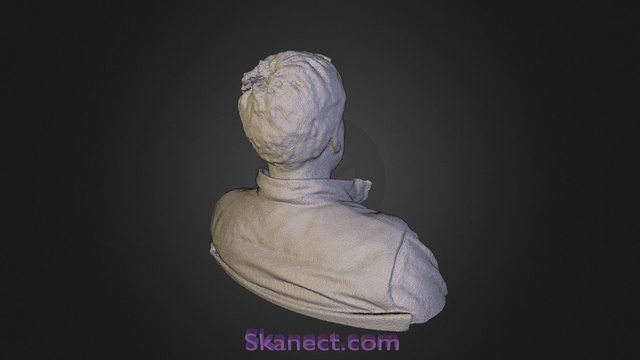 Selfie (structure sensor via skanect) 3D Model