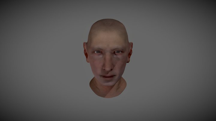 Demo - Realistic Low Poly Head 3D Model