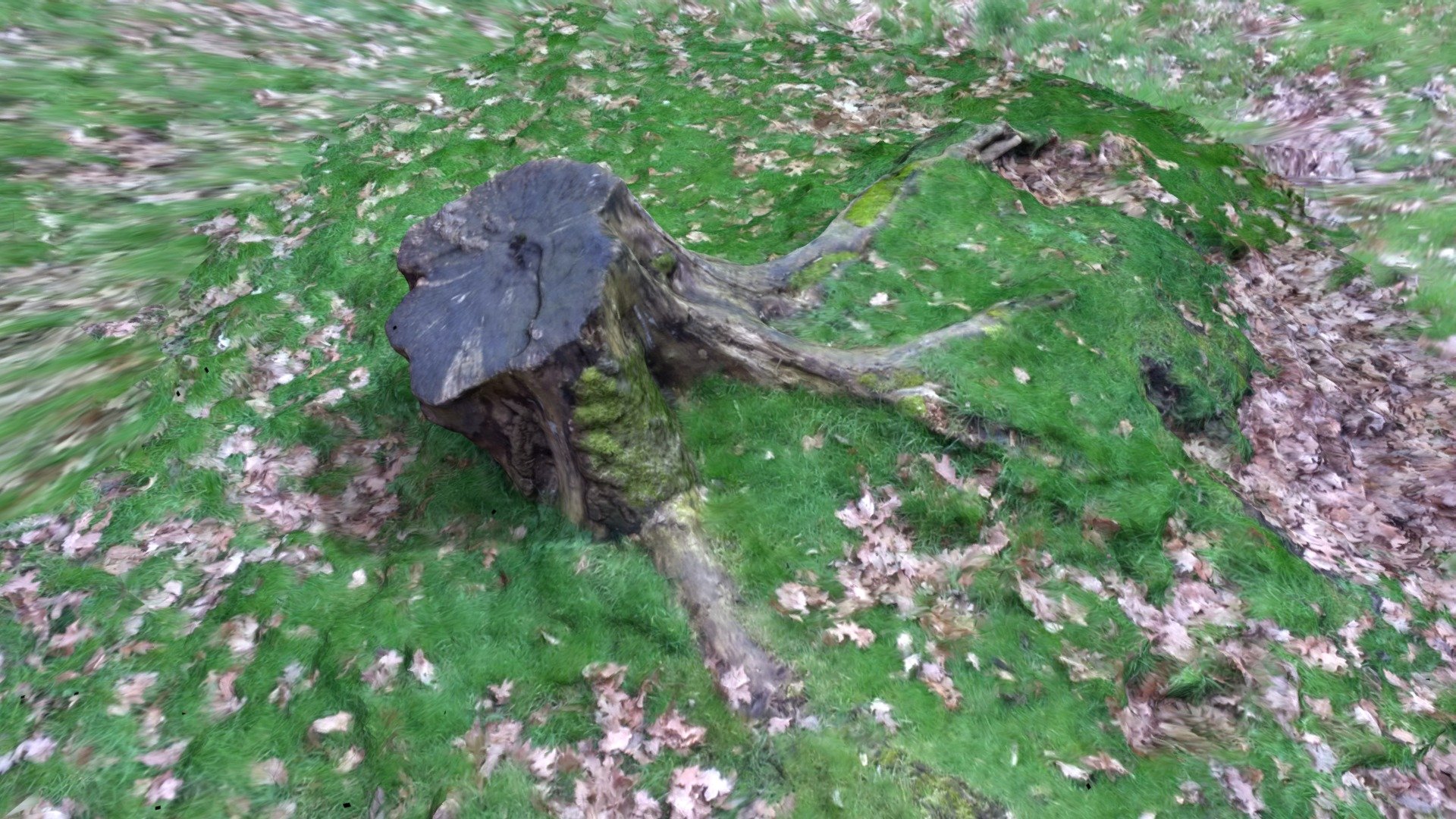 Another Tree Stump FREE 3D Scan Project A5