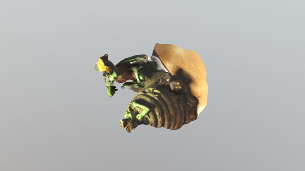 Gnomo