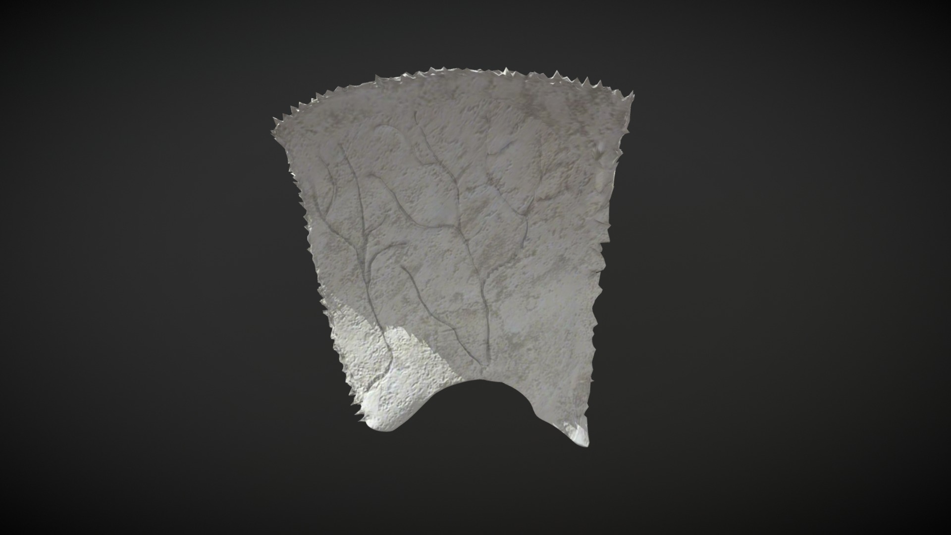 3D model Parietal - This is a 3D model of the Parietal. The 3D model is about a white rock with a black background.