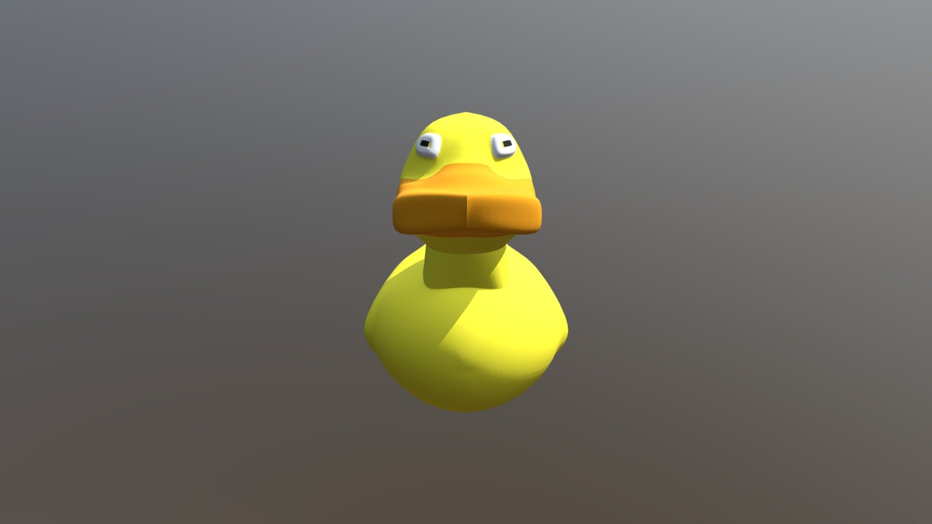 Duck Model