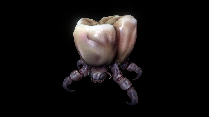 Tooth mite 3D Model