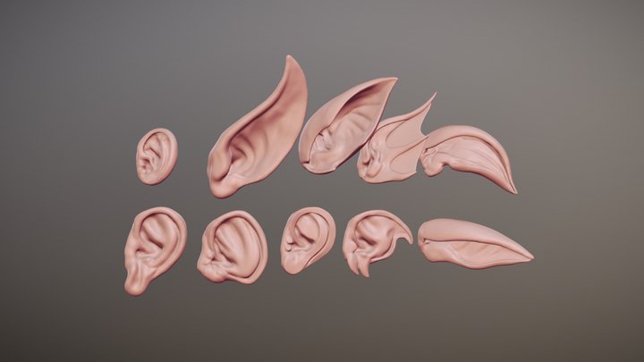 Fantasy ear pack 3D Model