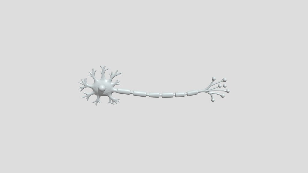 A neuron cell model