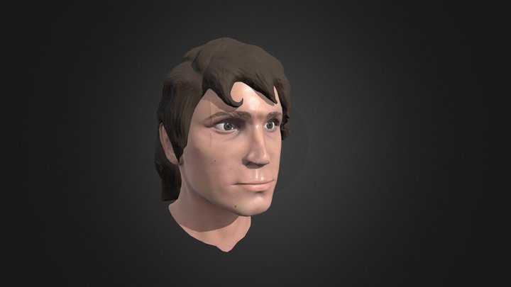 Anakin Skywalker Bust 3D Model
