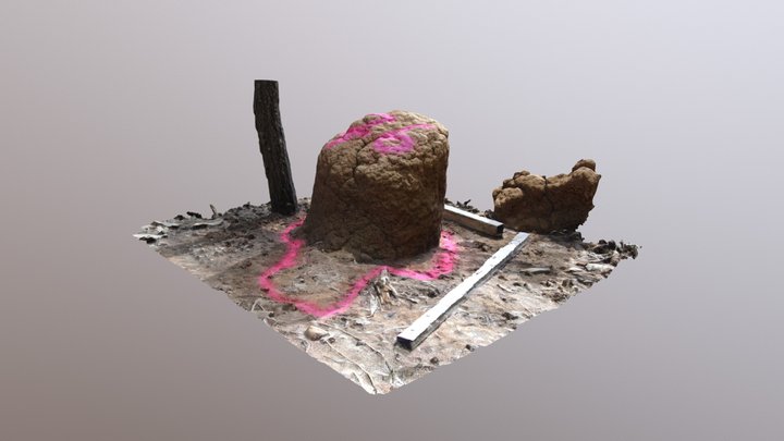 Termite mound Tp3-2016 3D Model