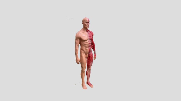 Man Puppet 3D Model