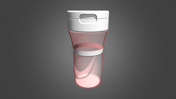 MAXI 3D Model