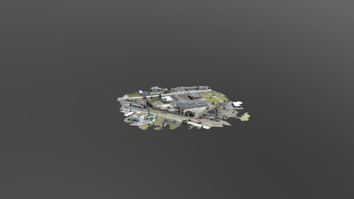 Primrose 3d Mesh 3D Model