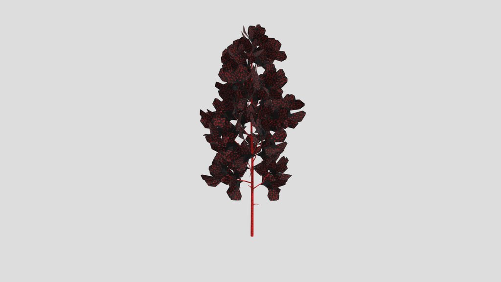 Aspen Tree Long Crown