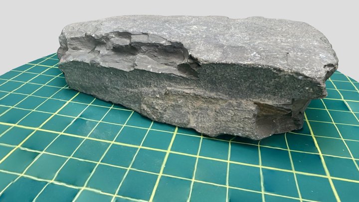 Rock 8 3D Model