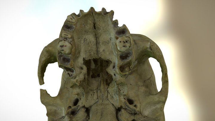 1-8 3D Model