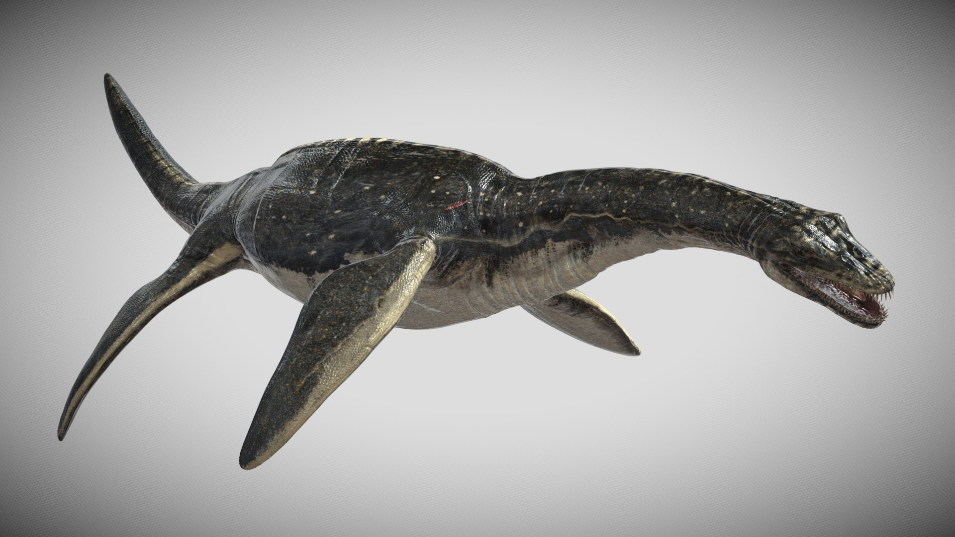 3D model Plesiosaurus 3D Rigged model - This is a 3D model of the Plesiosaurus 3D Rigged model. The 3D model is about a black and white fish.