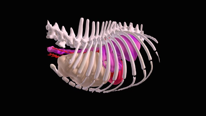 923-dmm1 3D Model