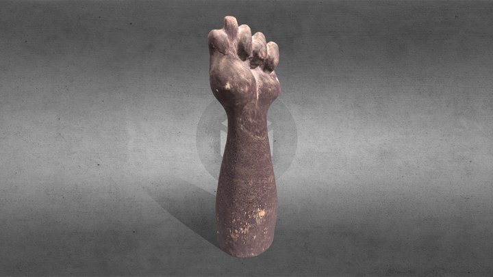 Figa 3D Model