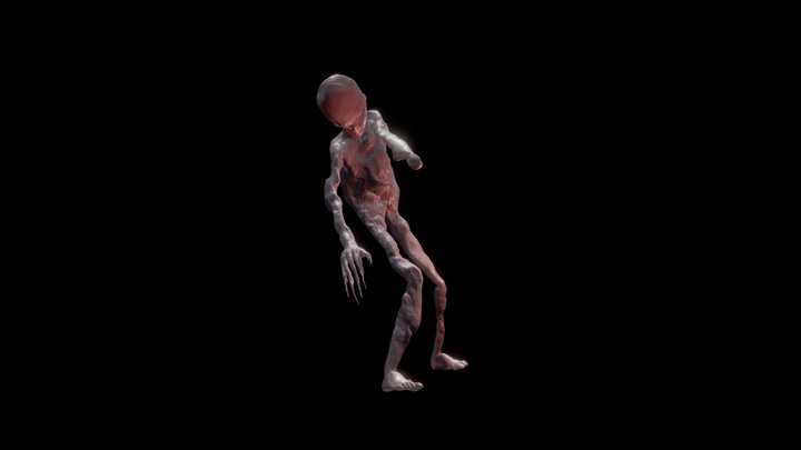 Ricards 3D Model