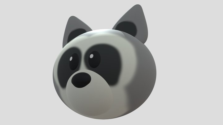 mapache 3D Model