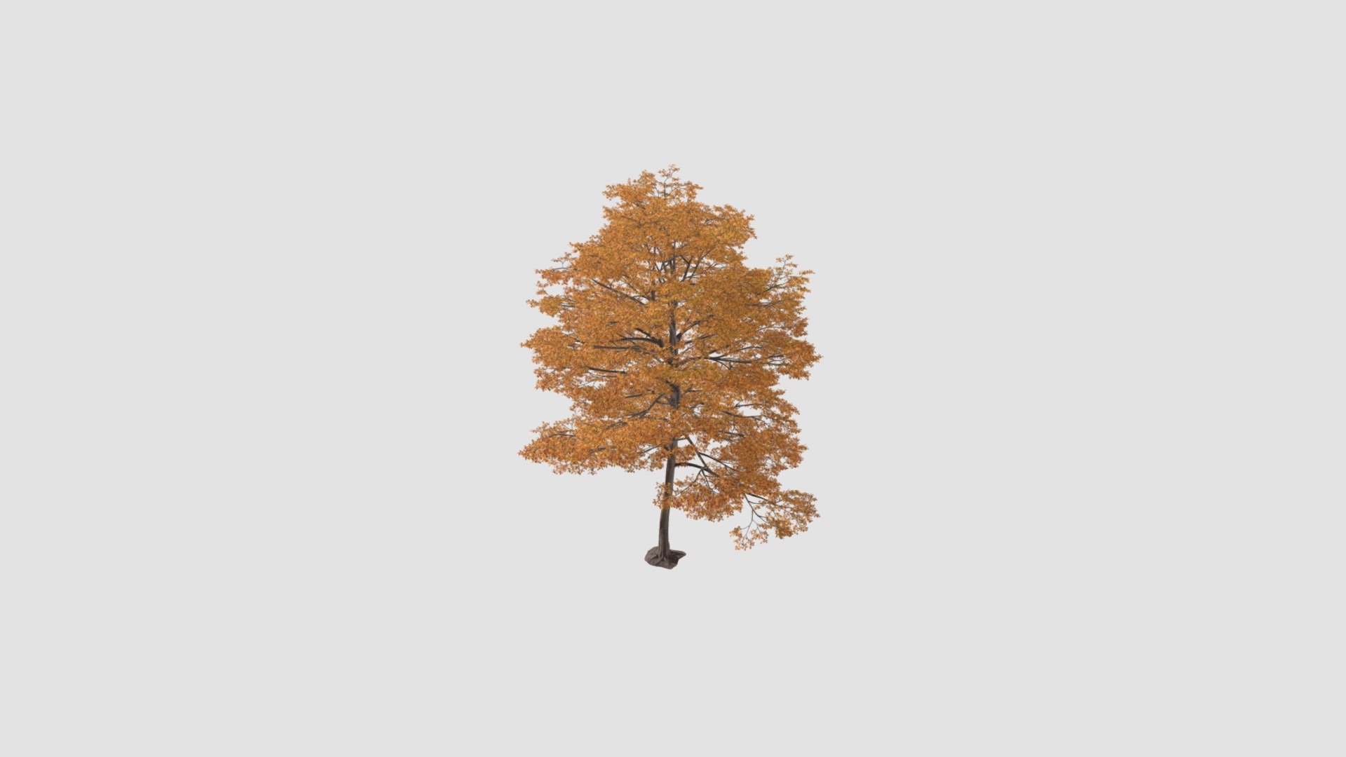 tree - Buy Royalty Free 3D model by Evermotion [d66ef00] - Sketchfab Store