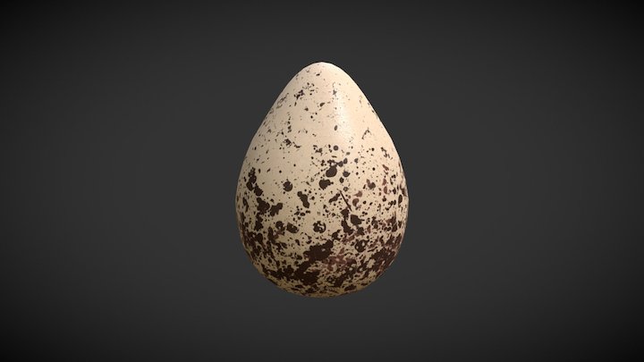 Killdeer Egg - PBR 3D Model