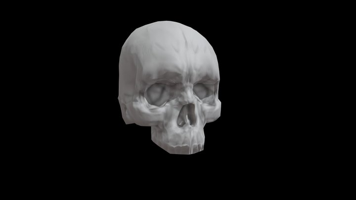 czaszka lp uvw 3D Model