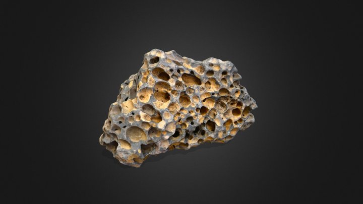 Porous volcanic stone 3D Model