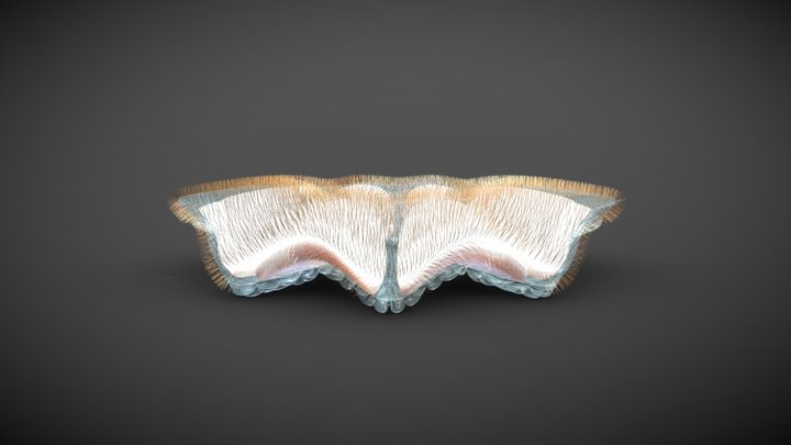 FLOATING DEVICE 3D Model