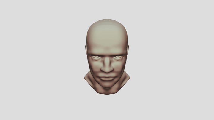 Face 3D Model